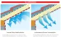 Preview: Targo VariVap S - verstärckte feuchtevariable Hochleistungsdampfbremse